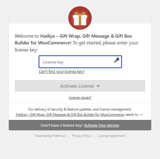 The Pro license activation screen after installing the plugin